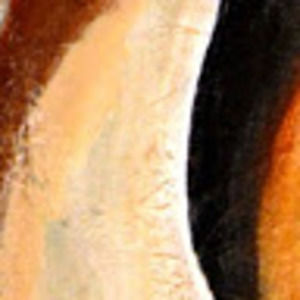 Meet your Posher, Robin